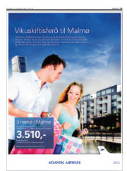 Síða 41