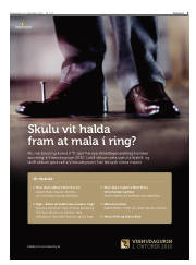 Síða 3