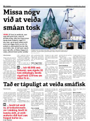 Síða 12
