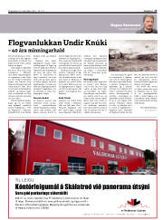 Síða 17