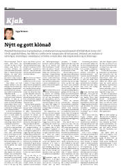 Síða 28