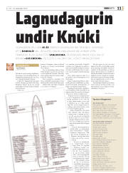Síða 11