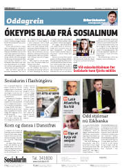 Síða 2