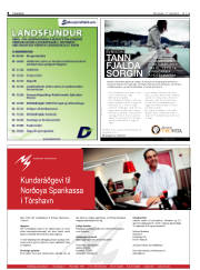 Síða 8