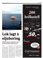 Síða 15