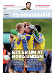 Síða 17