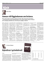 Síða 31