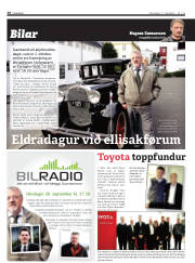 Síða 38