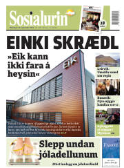 Síða 1