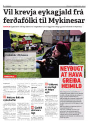 Síða 4