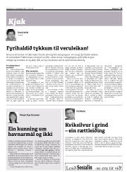 Síða 13