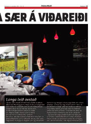 Síða 25