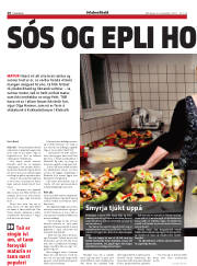 Síða 28