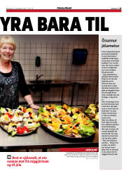 Síða 29