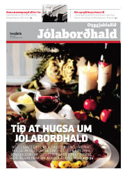 Síða 17
