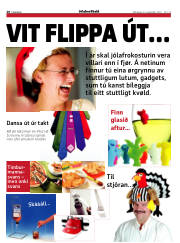 Síða 20