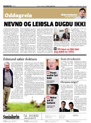 Síða 2