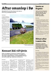 Síða 4