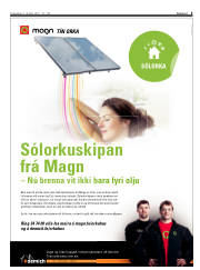 Síða 5