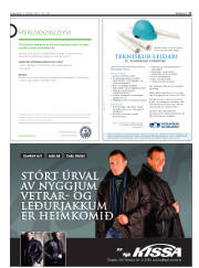 Síða 17
