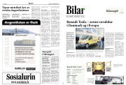 Síða 8