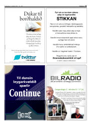 Síða 31