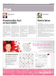 Síða 33