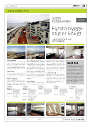 Síða 21