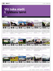 Síða 22