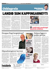 Síða 2