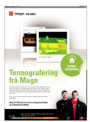 Síða 5