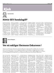 Síða 29