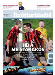 Síða 15