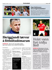 Síða 17