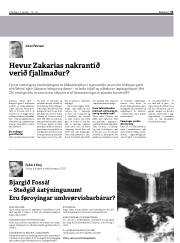 Síða 31