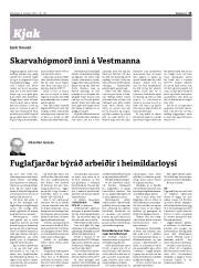Síða 13