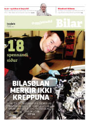 Síða 17
