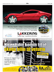 Síða 21