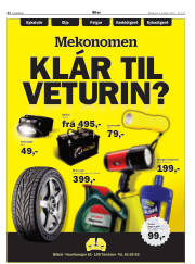 Síða 22