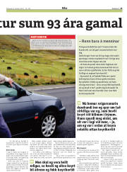 Síða 25