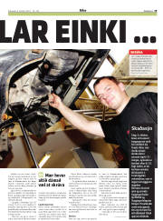 Síða 29