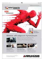 Síða 31