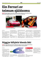 Síða 33