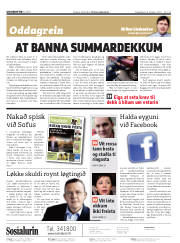 Síða 2