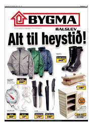 Síða 3