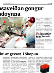 Síða 13