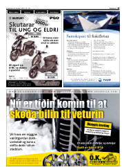 Síða 19