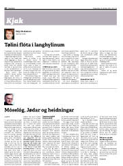 Síða 20