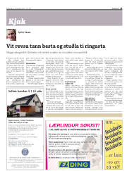 Síða 25