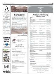 Síða 29